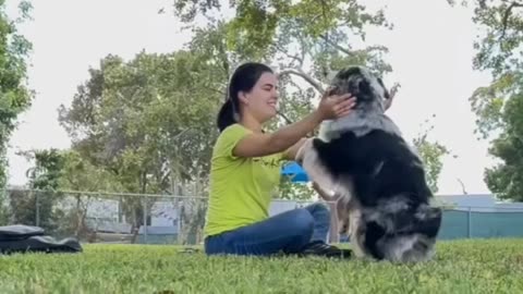 Amazing bond between Dog and it's keeper