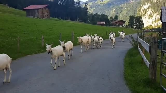 Nature is Beautiful.