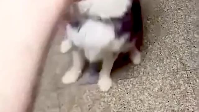 A funny moment