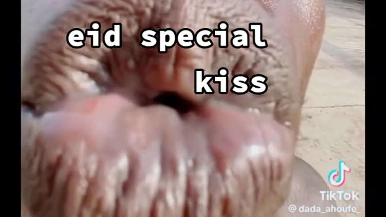 Special kiss 😂