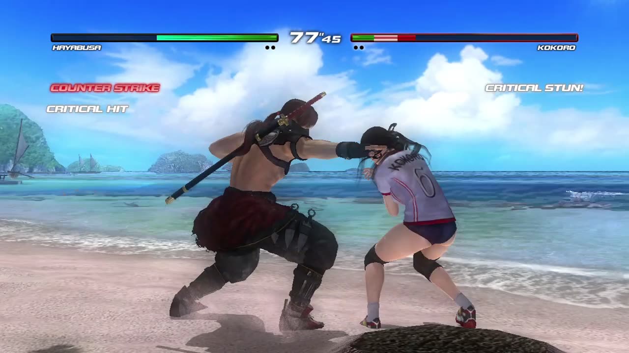 Hayabusa vs Kokoro