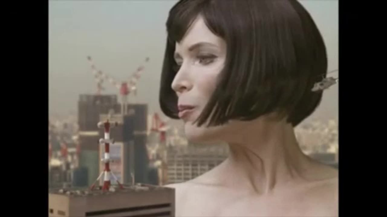 lexxlaika