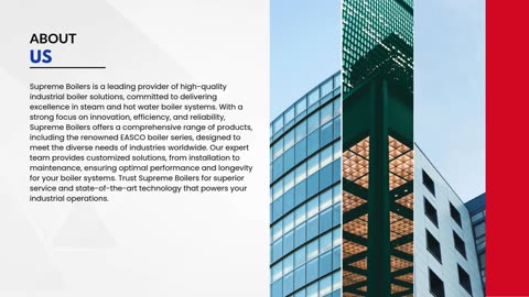 Discover the Power of the PLW Series Industrial Steam Boilers