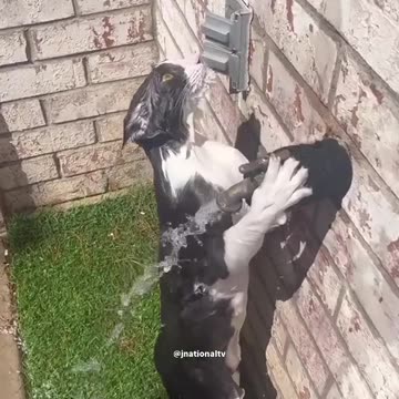 Mandela Timeline Shift