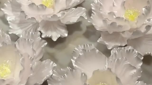 so beautiful