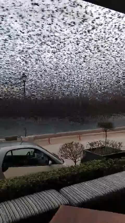 Γέφυρα Ρίου-Αντιρρίου