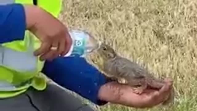 Nous sommes sur Terre