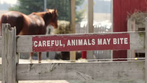 Horse in background of animals may bite sign