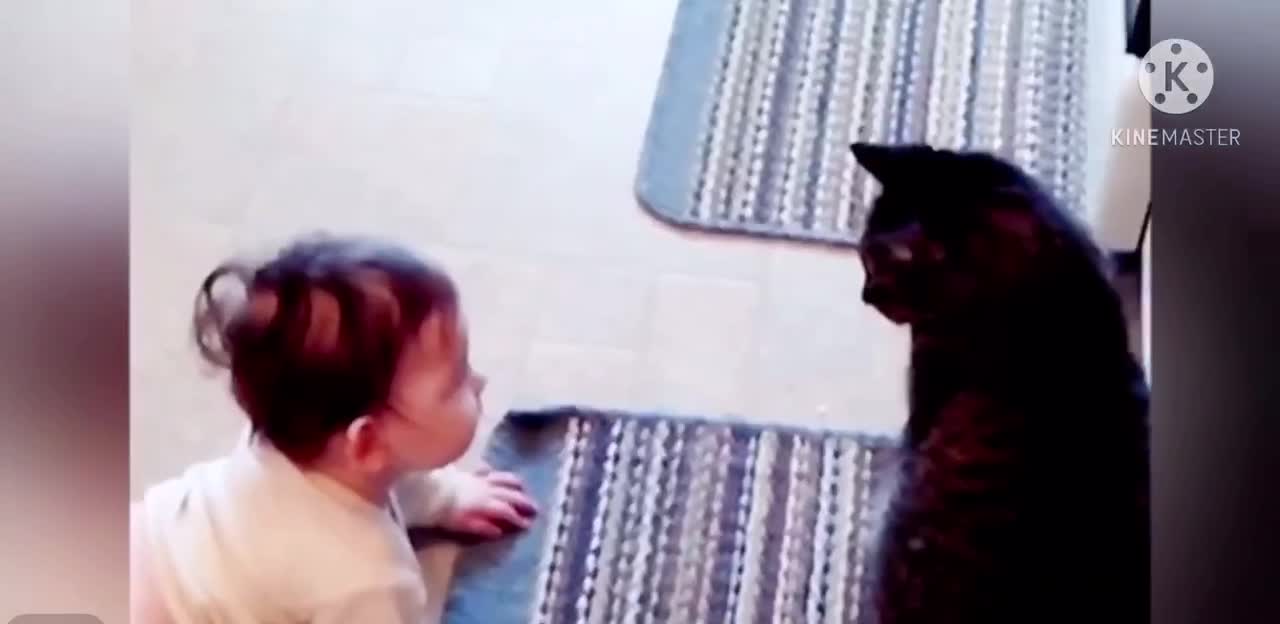 Cute Babies and cats