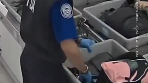 TSA Agent Caught Red-Handed Stealing From Passenger's Bag