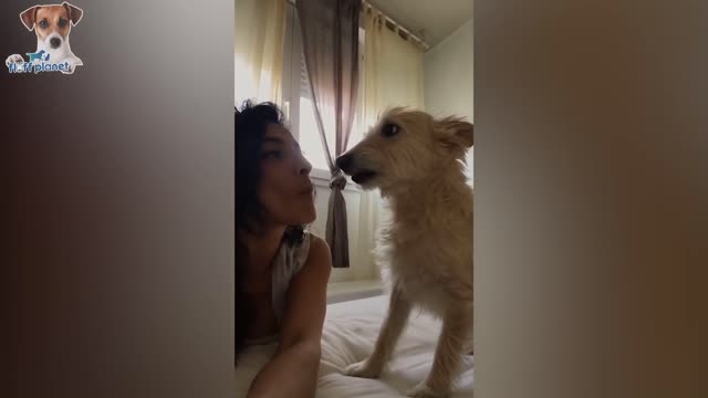 Watch These Adorable Pets 🥰 If you want to feel Happy.