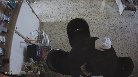 hallmid midnight 20220312