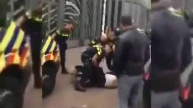 How Dutch policemen handle their demonstrators..?