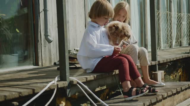 Children playing with the cute dog