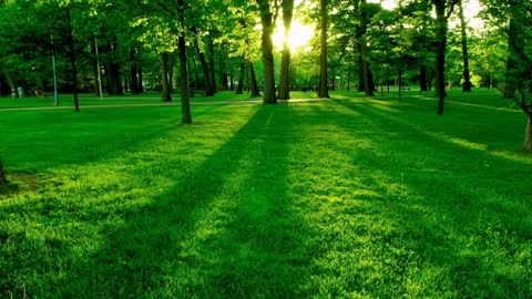 uplifting song in the morning, work spirit song, relaxation song