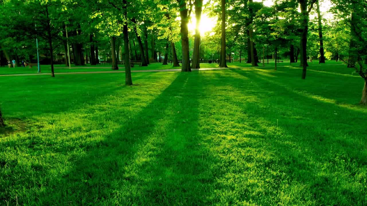 uplifting song in the morning, work spirit song, relaxation song