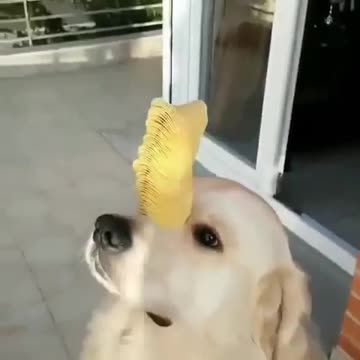 Trying to be focused