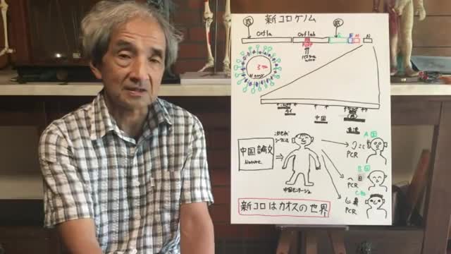 【119】このウイルスは、カオスの世界だ - 大橋眞