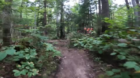 Take a Hike