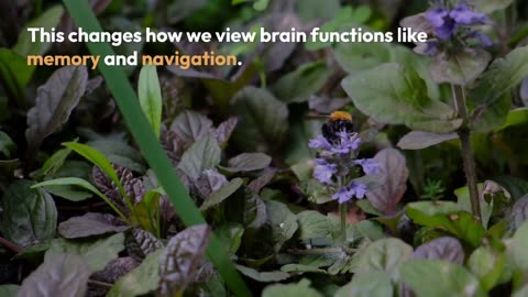 Small Brains Can Accomplish Big Things, According to New Theoretical Research