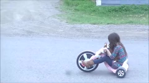 Phoenix Ridge Boxers-Puppy getting a ride!