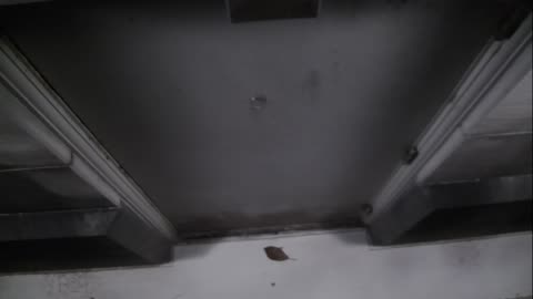 0921USCG00HT18Exterior_2021-01-06_04h40min01s267ms.mp4