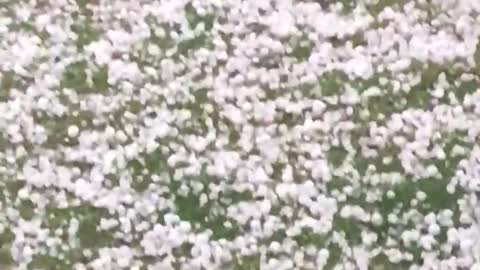 Stone rain