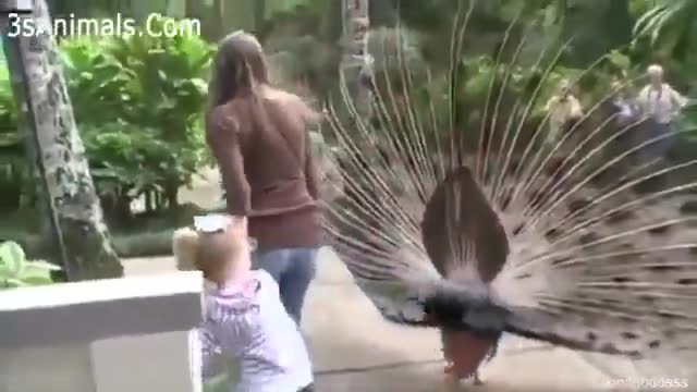 A very funny and sexy clip