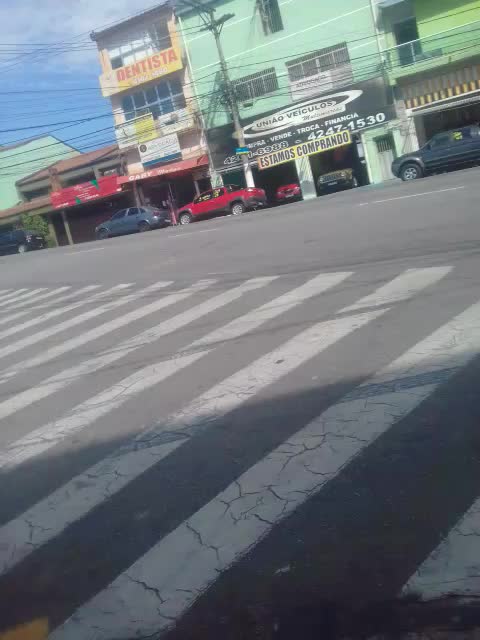 planeta selvagem planeta terra chamando pt5