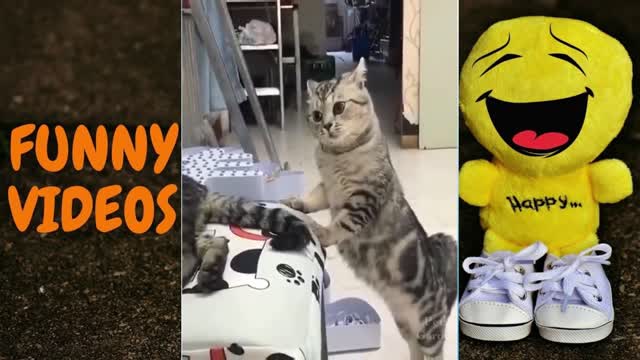 FUNNY ANIMAL VIDEO COMPILATION #17