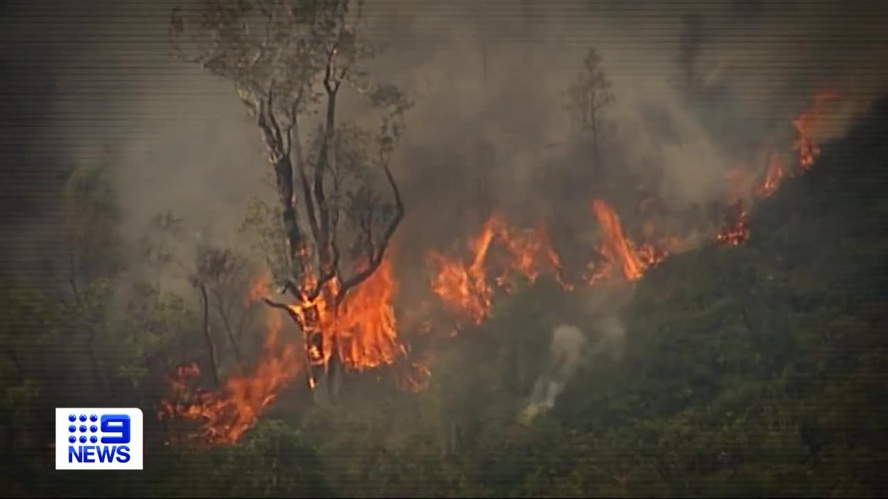 Urgent warning with a catastrophic fire rating declared for parts of Queensland | 9 News Australia