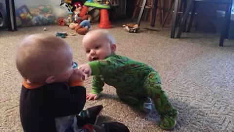 Best Videos of Funny Twin Babies