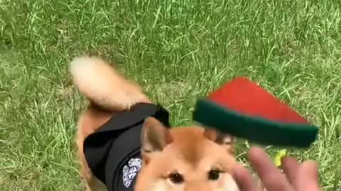 Catching the ball is getting better and better