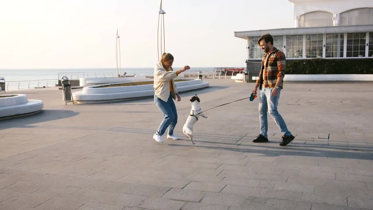 Cheerful young couple playing with cute Jack Russel terrier dog outdoors near the sea