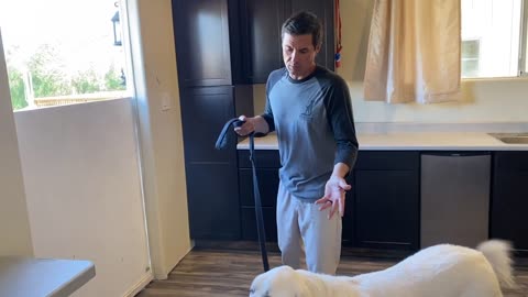 How to stop your dog from lunging, barking and pulling on leash