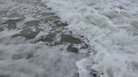 sea ​​sound