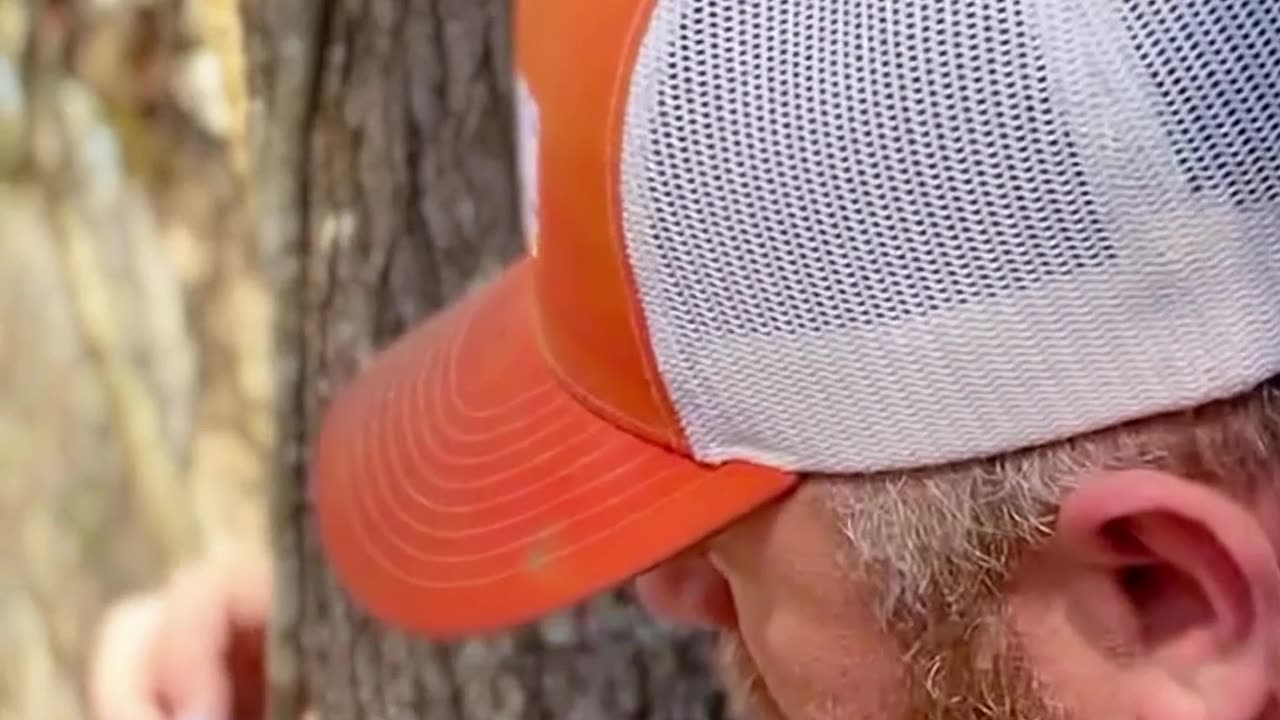Easy Camp Organization