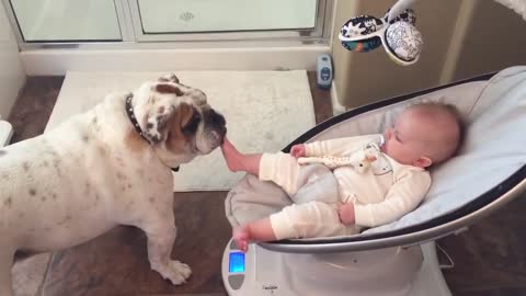 Viral Video UK: Cute bulldog licks baby's foot!