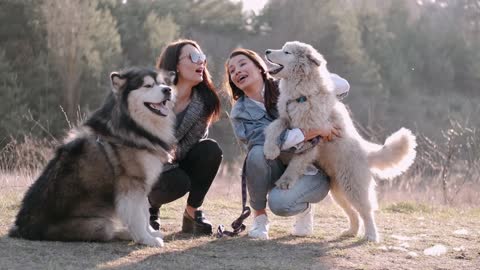 Best Friend - Cute and Funny Animals Videos