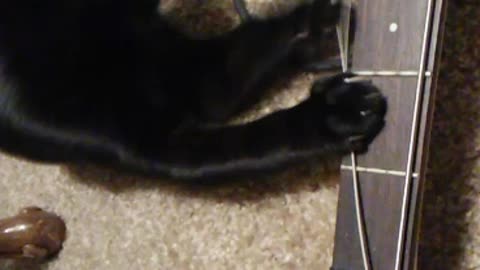 Kitty Plays