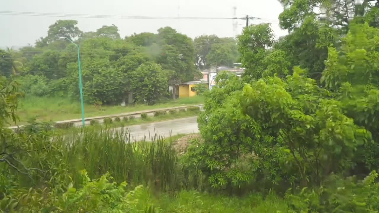 5 Minutes to Relax Rain, Soothing Rain Sounds for Sleep, Meditation, Relaxation, Calm, Rain Video,