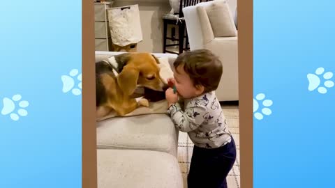 Baby and dog playing in the box
