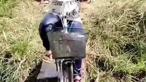 chinese funny video 😂 ~ mini wood toy-woodworking art skill wood / hand Crafts/ #shorts