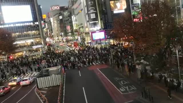 Busiest crossing in Tokyo #crazy