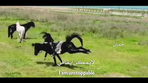 اجمل مافي الصداقة الخيل