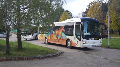 5. rodjendan Livno busa