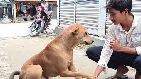 BAST FUNNY MOMENT DOG