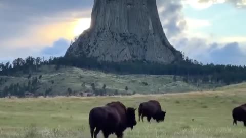 Devils Tower in Wyoming
