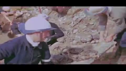 The Largest Ethnic Cleansing in Human History