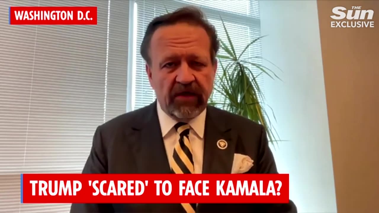 The Dems Dump on Democracy. Seb Gorka with Harry Cole